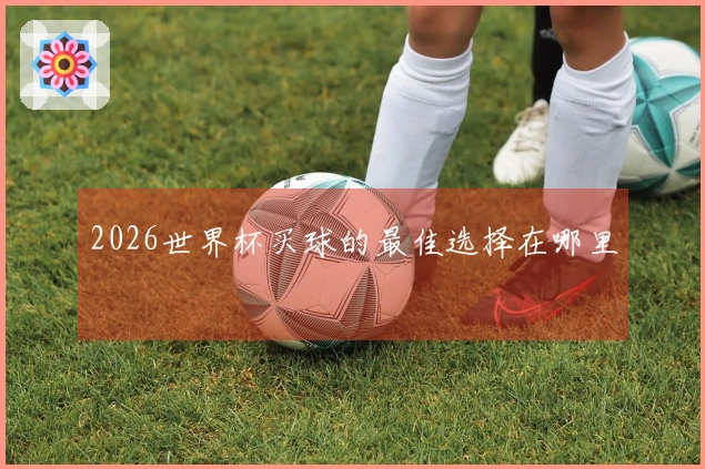 2026世界杯买球的最佳选择在哪里
