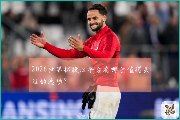 2026世界杯投注平台有哪些值得关注的选项？