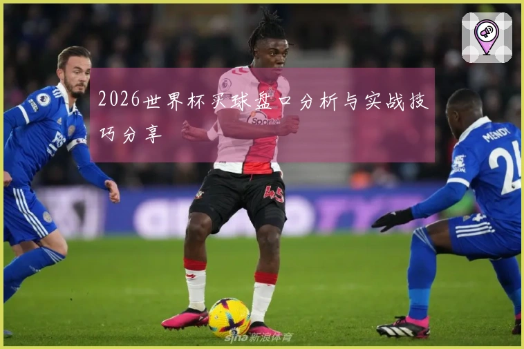 2026世界杯买球盘口分析与实战技巧分享